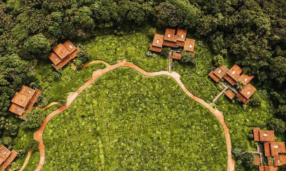 Where To Stay In Nyungwe Forest National Park.