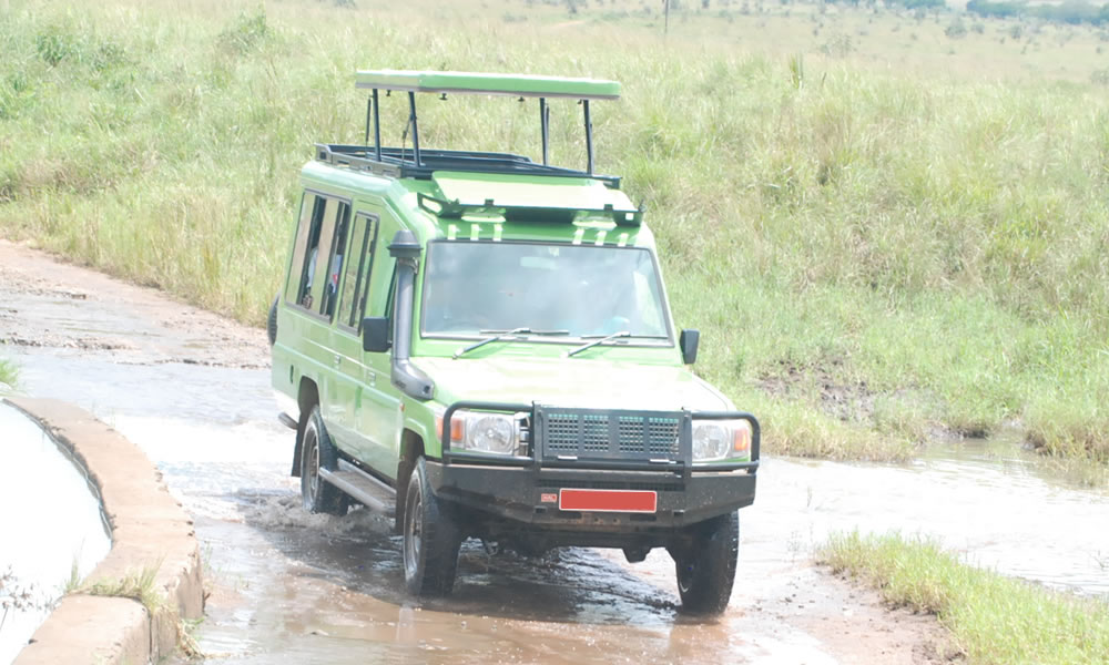 Wildlife Game Drives In Akagera National Park