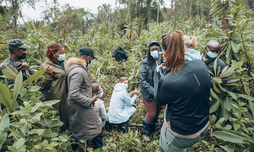 Why You Should Join A Group On Your African Safari