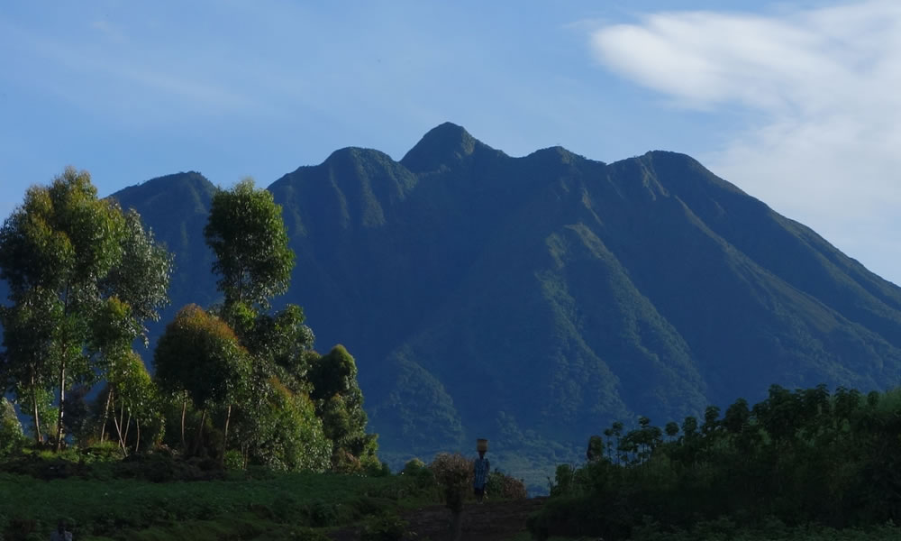 The Five Volcano Mountains In Rwanda